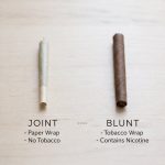 A visual side-by-side comparison of a joint (white rolling paper) and a blunt (brown tobacco wrap) on a clean surface.
